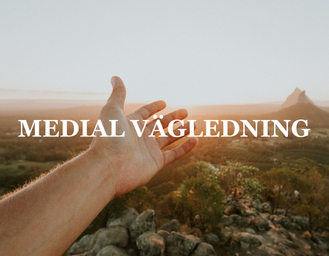 Medial vägledning